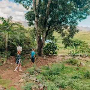 Riding an electric bike through lush island trails