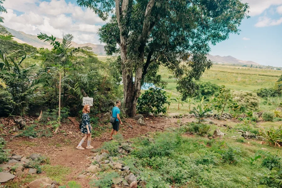Riding an electric bike through lush island trails