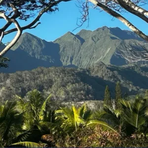 Farm tour visitors walking through rows of tropical crops