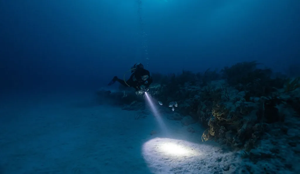 Certified diver exploring lava tube underwater cave