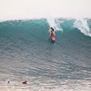 Private stand-up paddle surf lessons on island tour