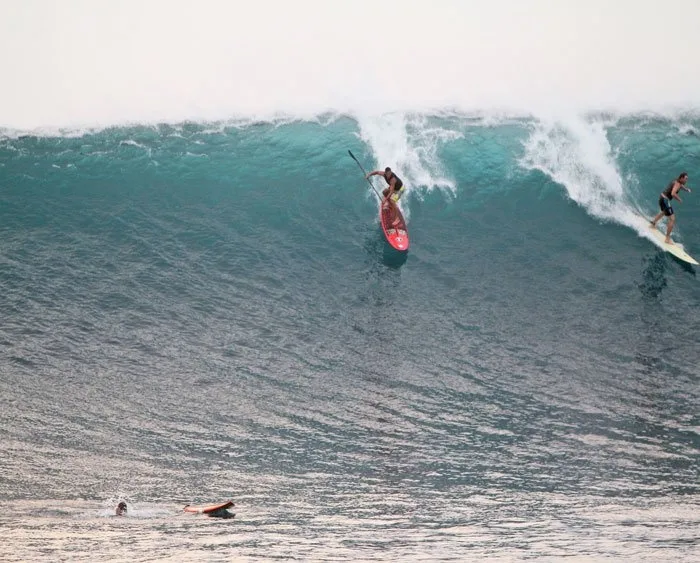 Private stand-up paddle surf lessons on island tour