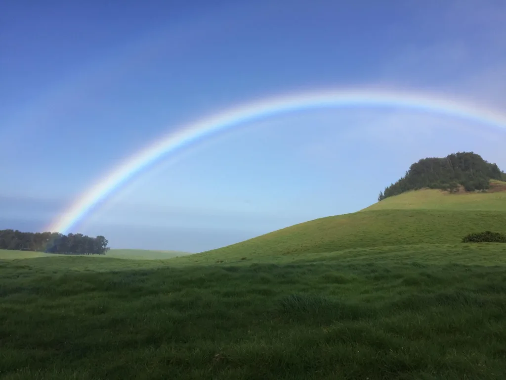 Riders on horseback exploring volcanic landscapes in the morning