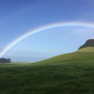 Riders on horseback exploring volcanic landscapes in the morning