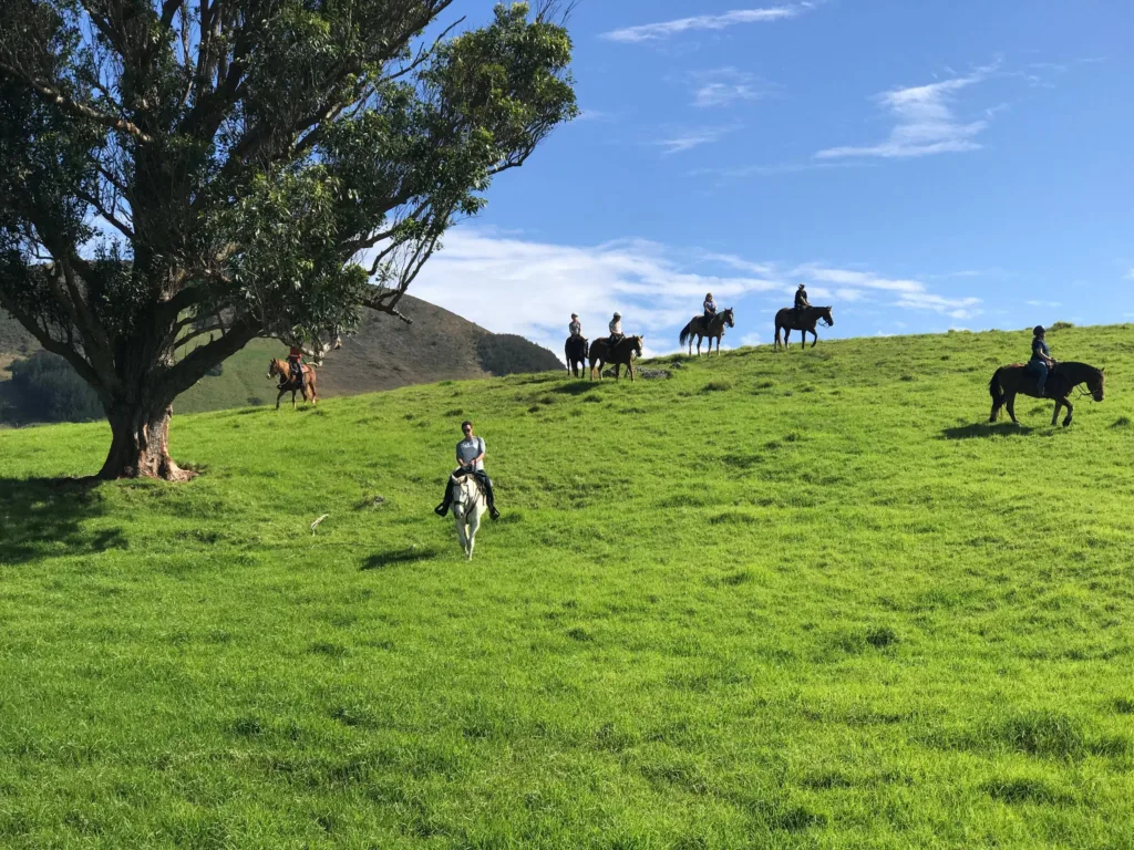 Afternoon horseback ride along Kona’s scenic trails