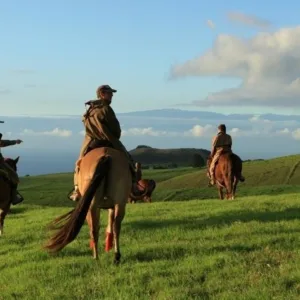 Riding a Wrangler through island trails