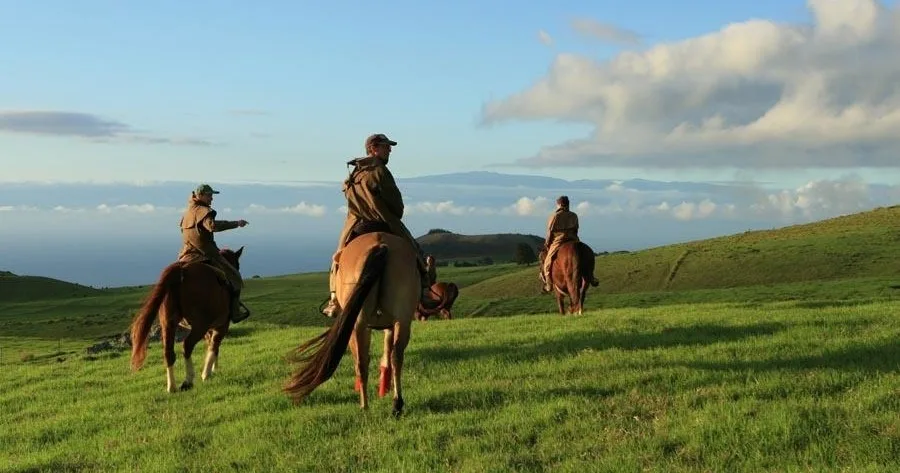 Riding a Wrangler through island trails