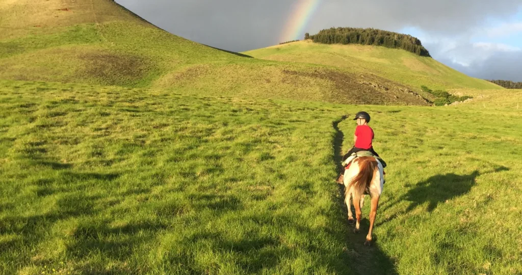 Guided city tour with views of Kona volcano landscapes