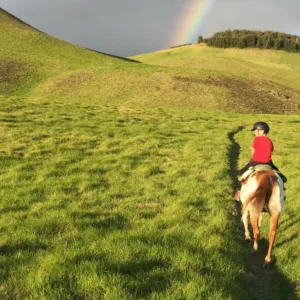 Guided city tour with views of Kona volcano landscapes