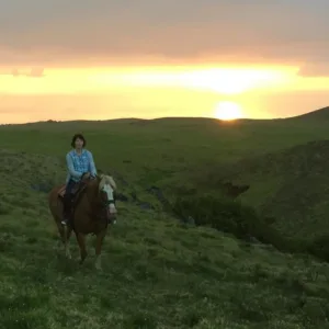 Private ride during stunning sunset views