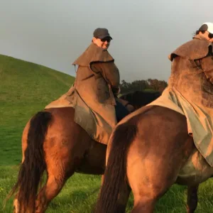 Private afternoon horseback ride through Kona’s scenic trails