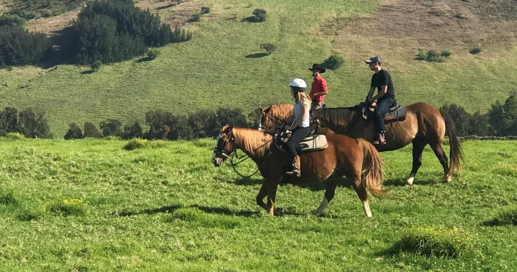 Private morning horseback ride through Maui’s Paniolo country