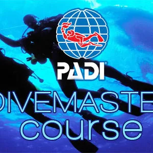 Diver practicing skills during scuba internship in Kauai