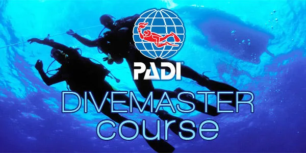 Diver practicing skills during scuba internship in Kauai