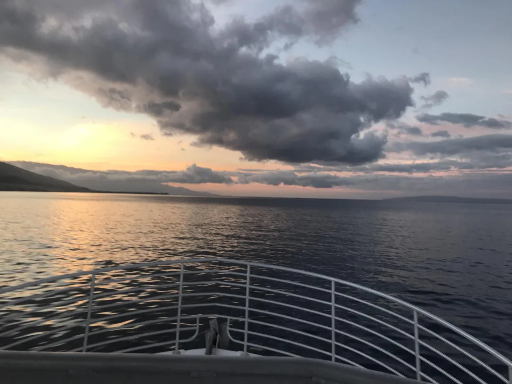 Whale watching and sunset cruise along scenic coastline