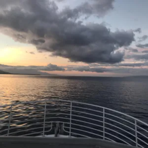 Whale watching and sunset cruise along scenic coastline