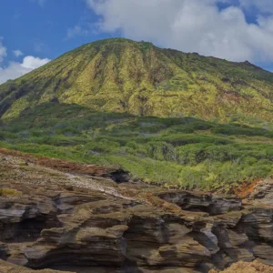 Oahu island tour exploring famous landmarks