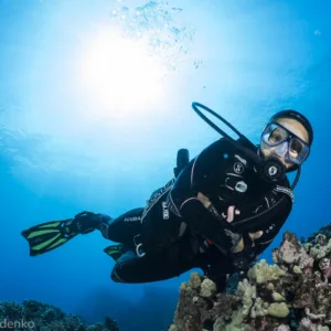 Divers preparing for an afternoon scuba dive trip