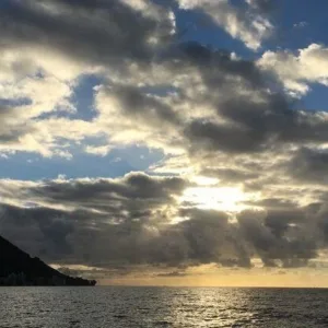 Group snorkeling adventure exploring coral reefs and marine life