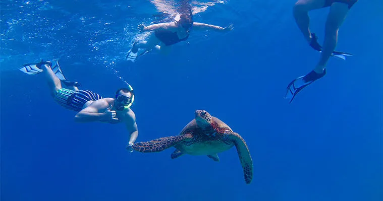 Scuba diver exploring colorful coral reefs