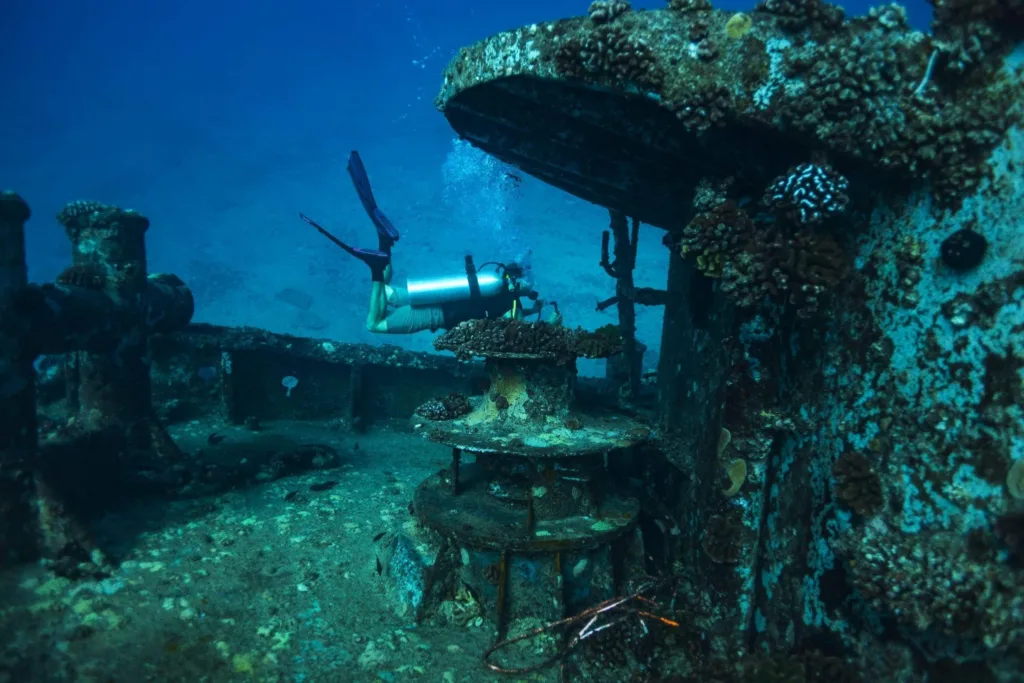 Exciting underwater night dive exploring marine wildlife