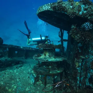 Exciting underwater night dive exploring marine wildlife