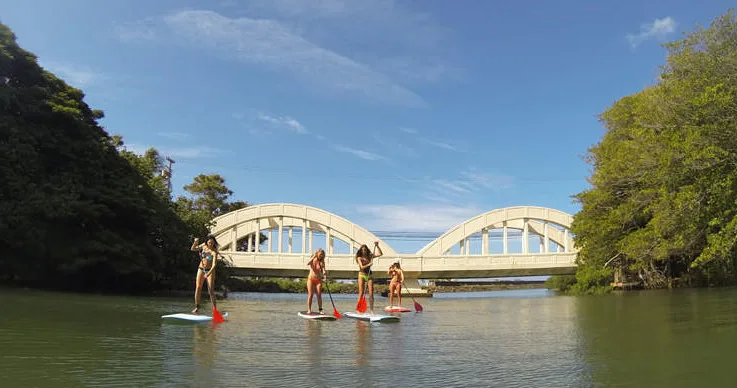 Group paddle boarding lesson with multiple participants on water