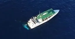 Private charter boat searching for humpback whales and dolphins