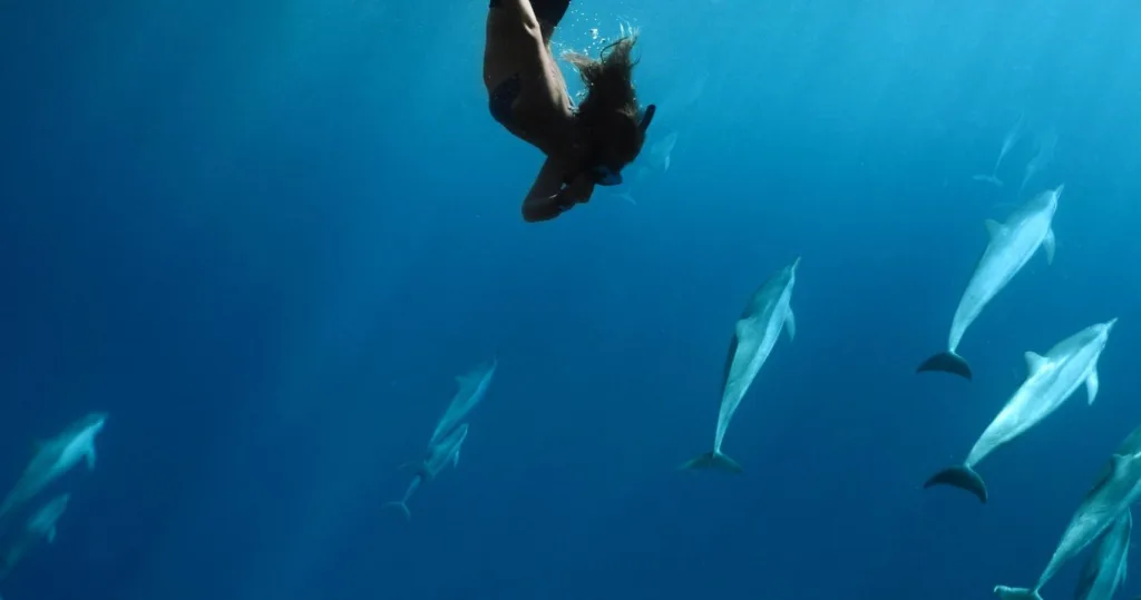 Early morning snorkel group exploring coral reefs near Lana‘i