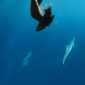 Early morning snorkel group exploring coral reefs near Lana‘i