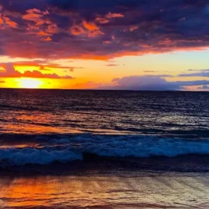 Divers preparing for dusk and night dive with tanks ready