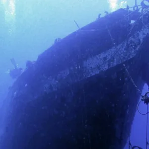 Diver exploring Carthaginian shipwreck underwater