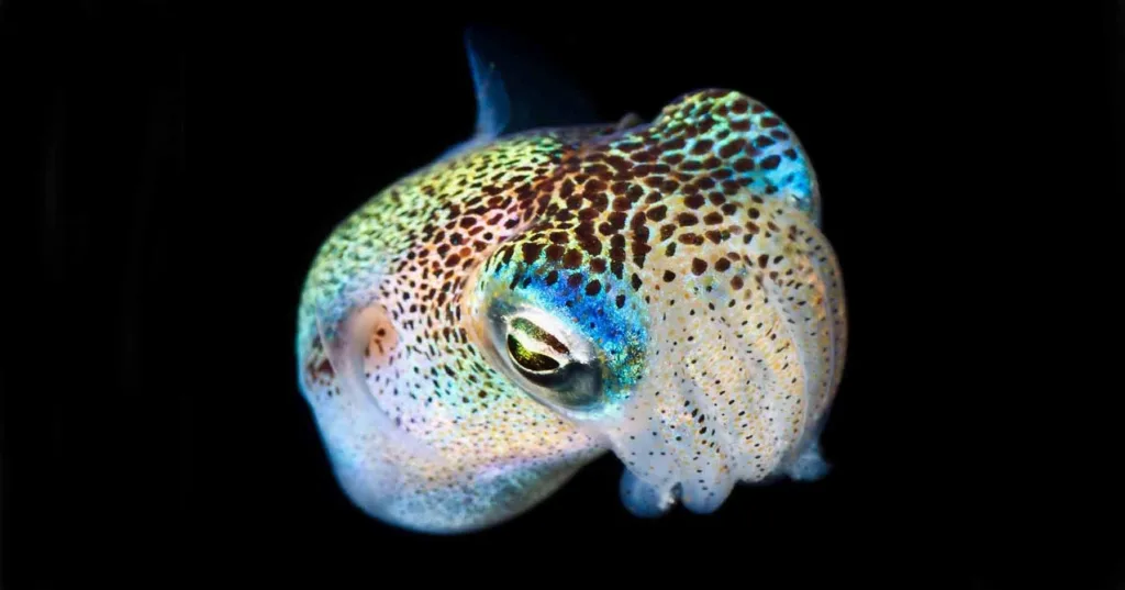 Nighttime scuba diving adventure in dark ocean waters