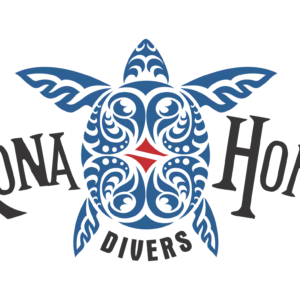 Diving at night on a vibrant coral reef in Kona