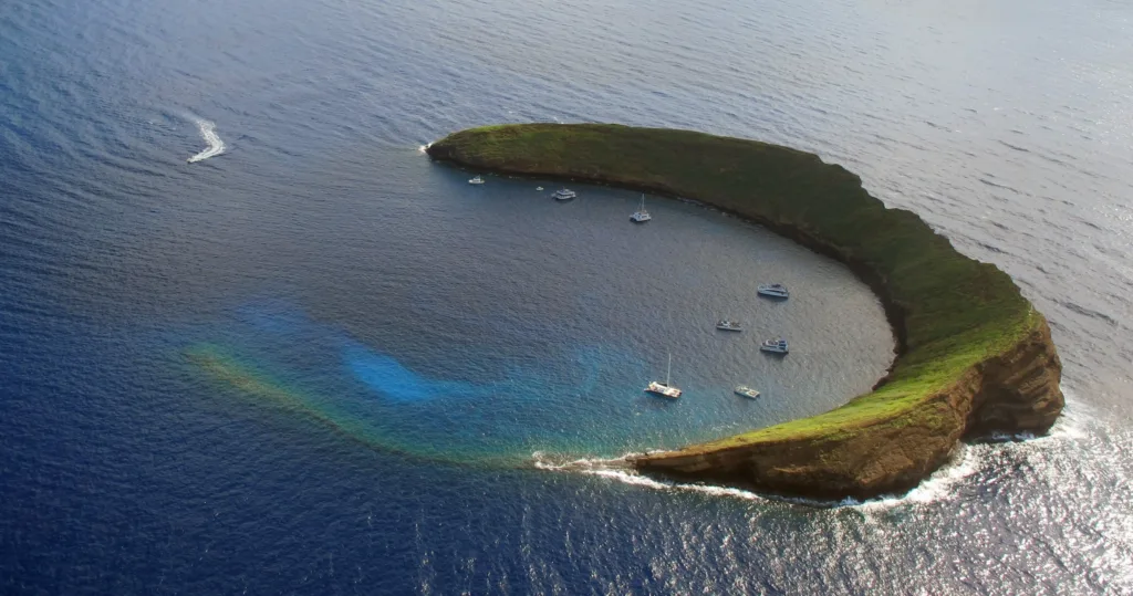 Scuba diver exploring Molokini Backwall coral reef