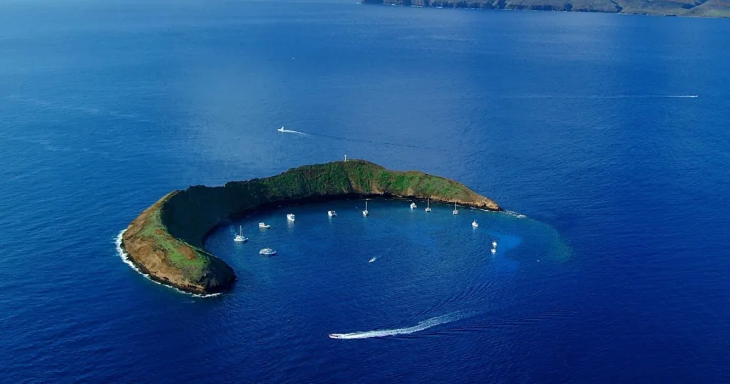 Diver exploring vibrant coral walls at Molokini Double Backwall