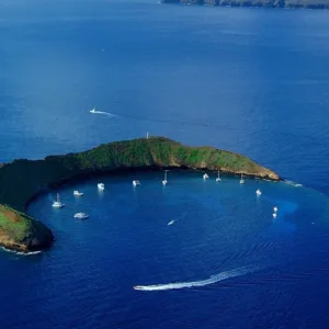 Diver exploring vibrant coral walls at Molokini Double Backwall