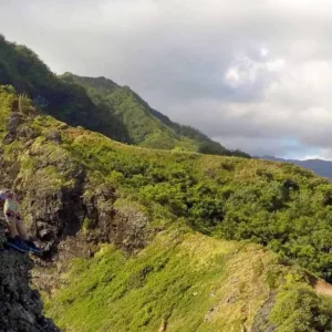 Hikers walking along lush tropical forest trail