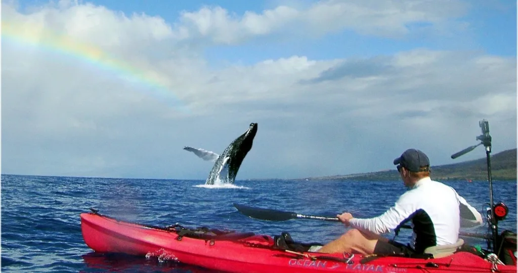 Kayakers paddling near Olowalu Beach with mountain backdrop