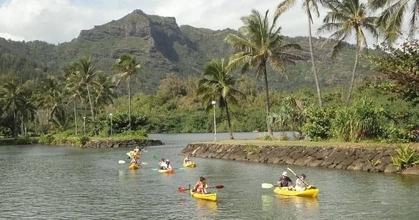 Kayakers paddling along Wailua River surrounded by forest