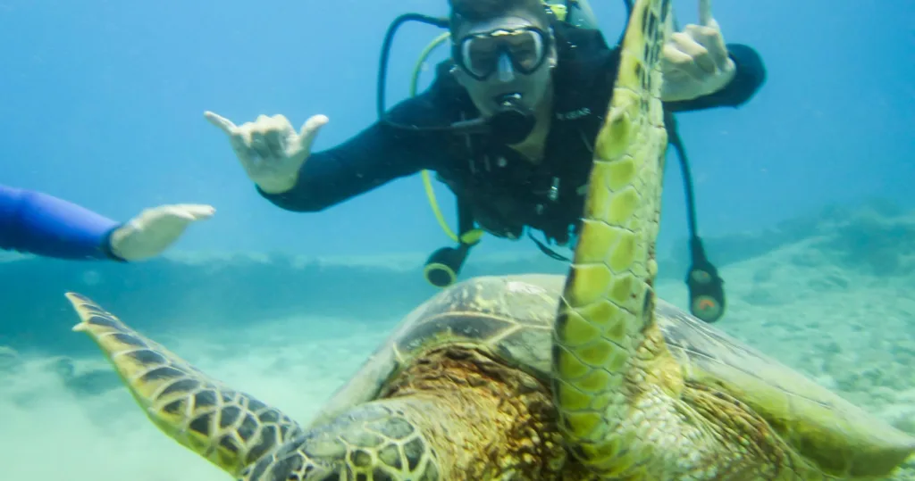 Advanced divers preparing for two tank boat dive