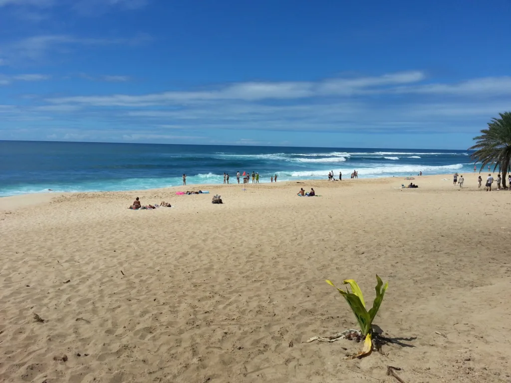 Luxury convertible car driving along Oahu island roads