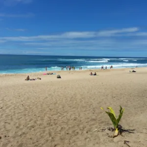 Luxury convertible car driving along Oahu island roads