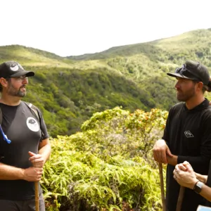 Hikers walking along lush Honolua Ridgeline trail