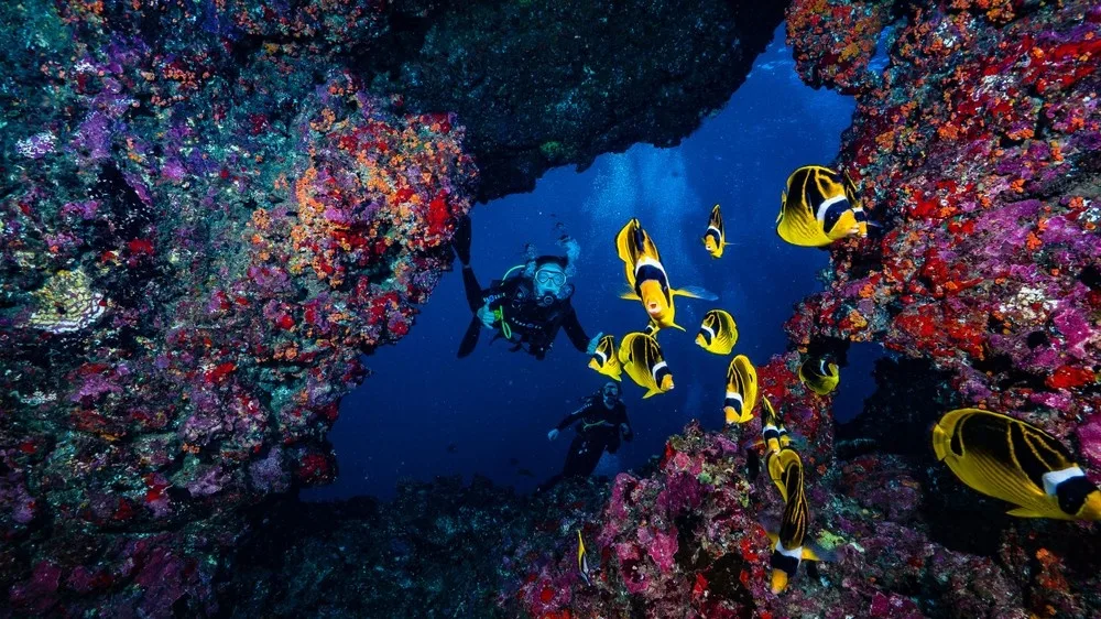 Two-tank boat dive at Lanai Cathedrals