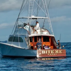 Sport fishing boat docked at marina