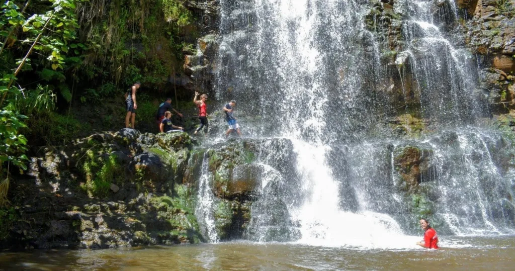 Swimmers enjoying a refreshing dip beneath a waterfall