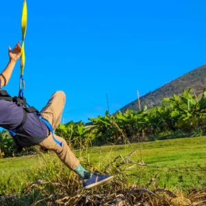 Person zipping over dragon fruit fields on zipline