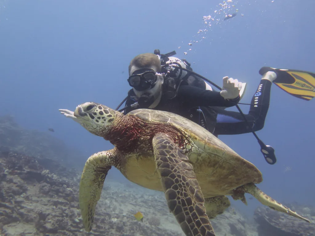 Scuba divers preparing for shallow reef dive in Honolulu