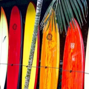 Stand up paddleboards lined up on Waikiki beach